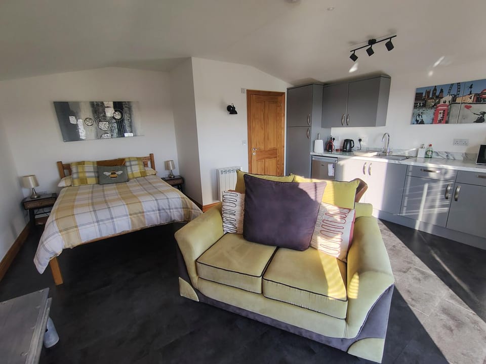 Kitchen or kitchenette, Living room, Photo of the whole room, Dining area, Bedroom