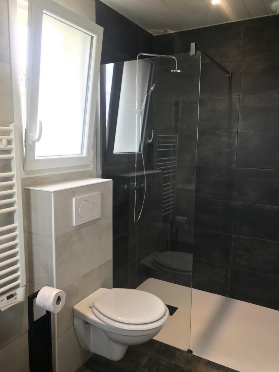 Shower, Toilet, Bathroom
