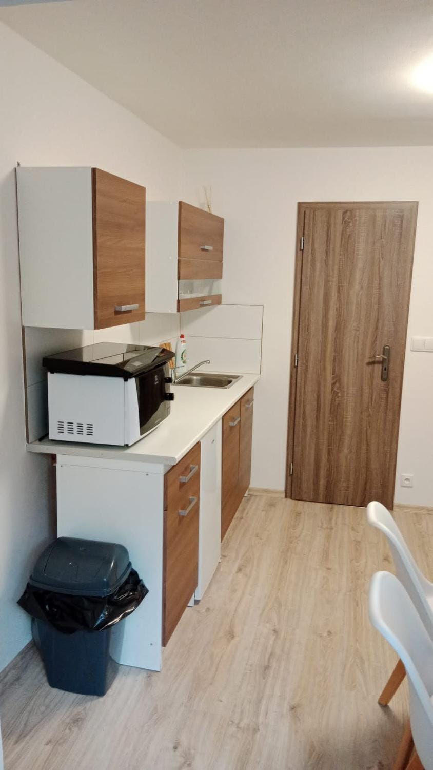 Kitchen or kitchenette, minibar, stove