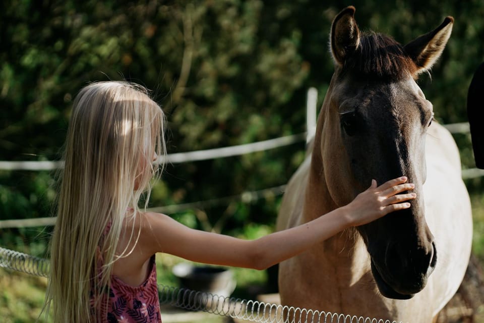 Horse-riding, Animals