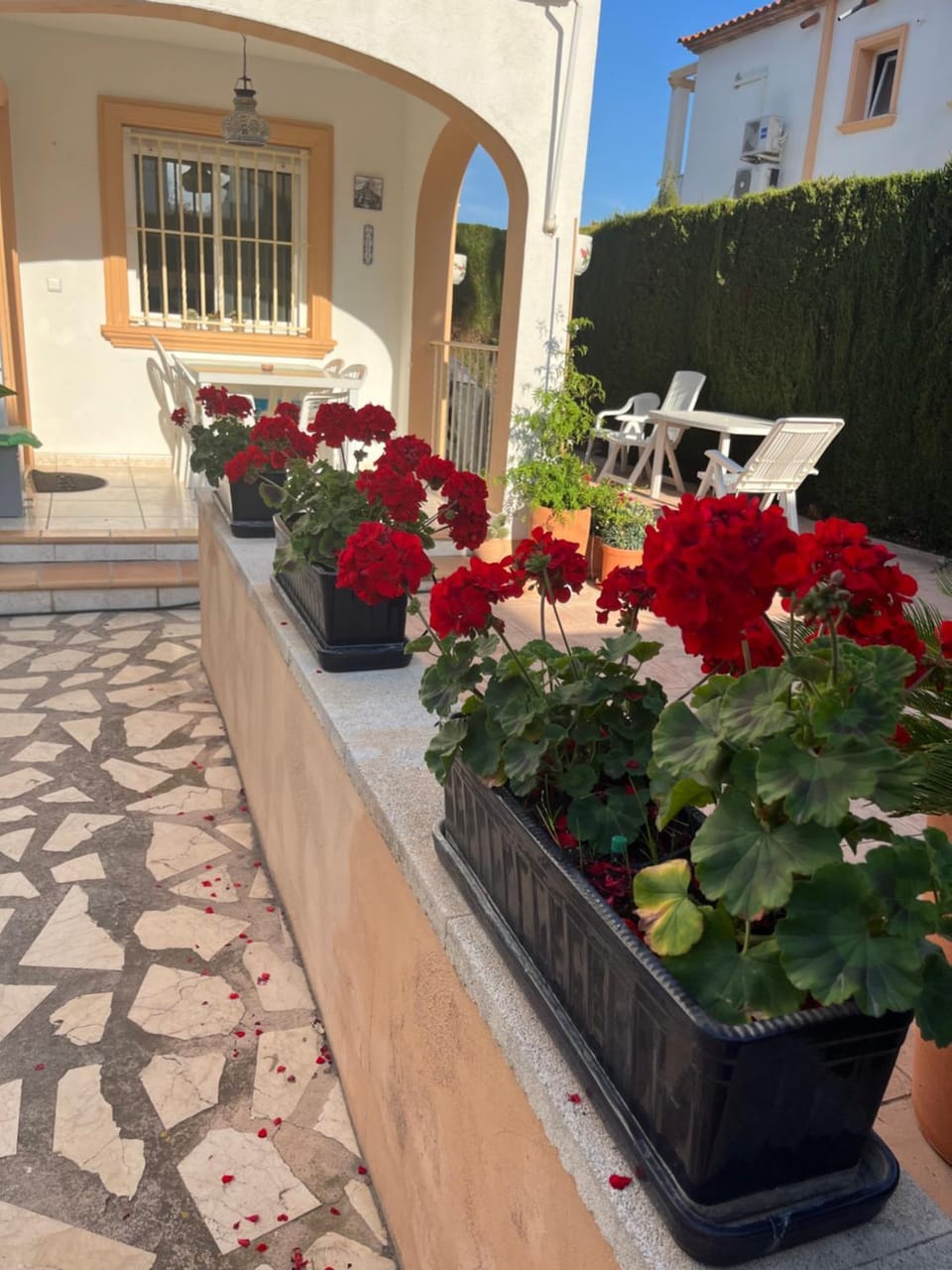 Garden view