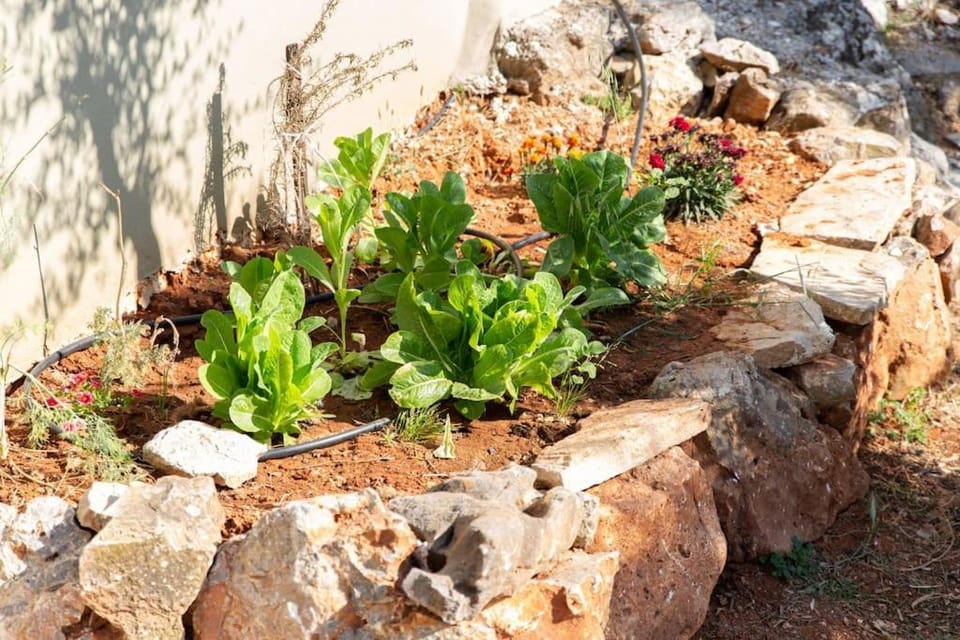 Villa Niovi House in Crete