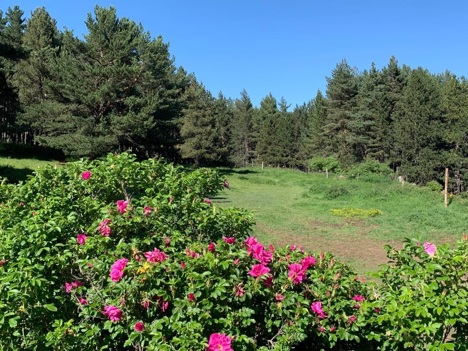 Gîte Ranch Le Serpolet Bed and Breakfast in Catalonia