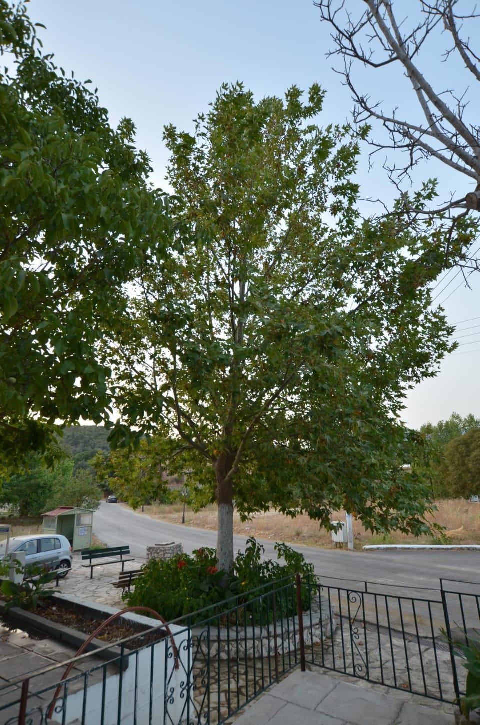 Domenica house Apartment in Lefkada, Lefkada Municipality, Greece