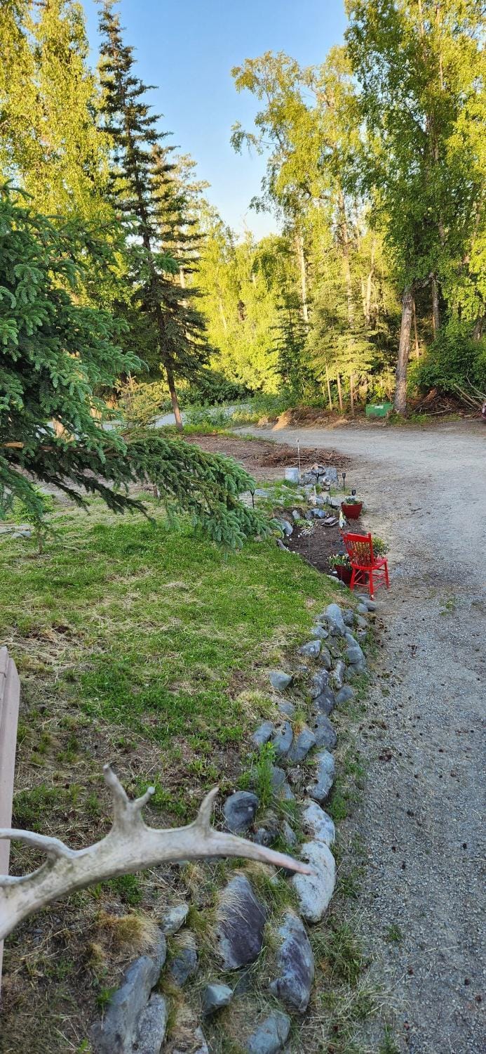 Natural landscape, Garden view