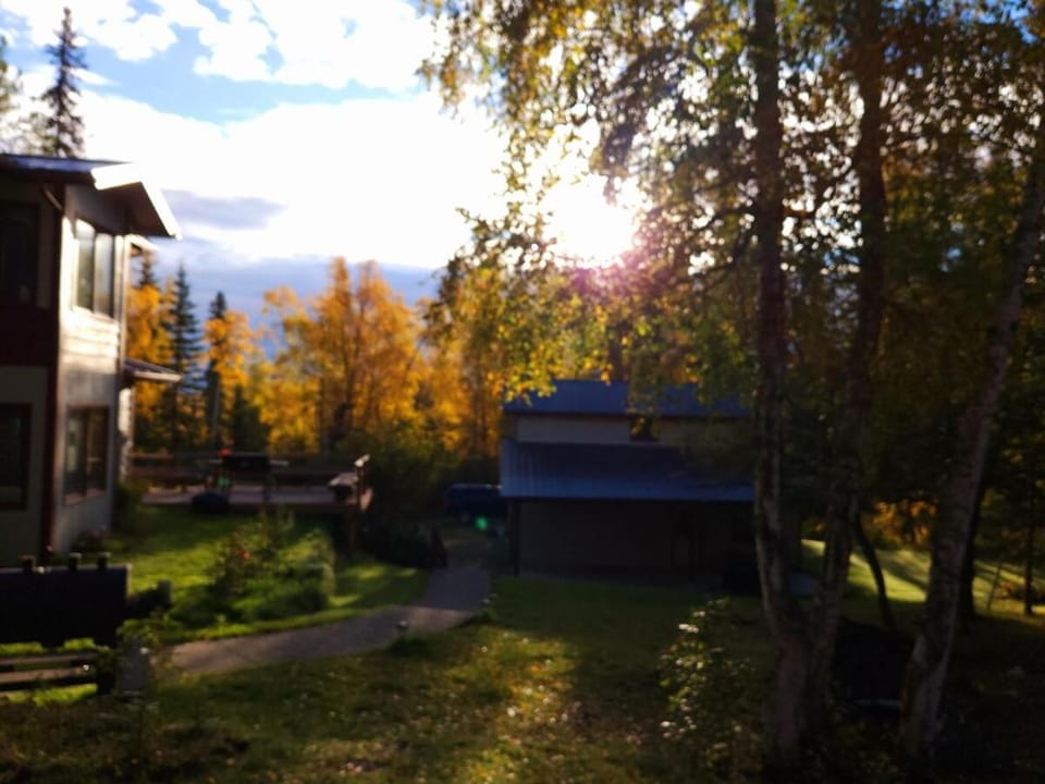 Property building, Natural landscape, Garden view