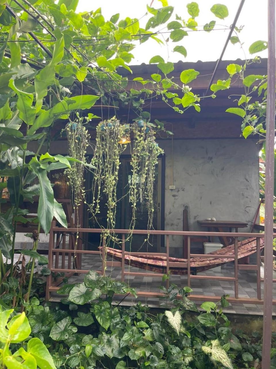 Lok Mun Bungalows Chalet in Krabi Changwat