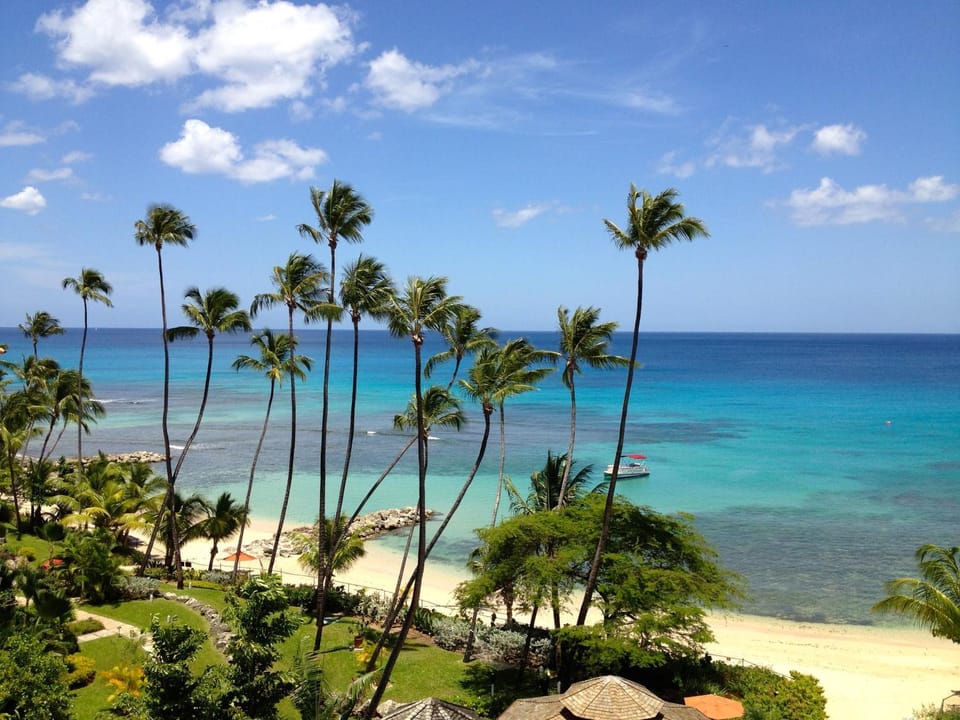 Bird's eye view, Beach