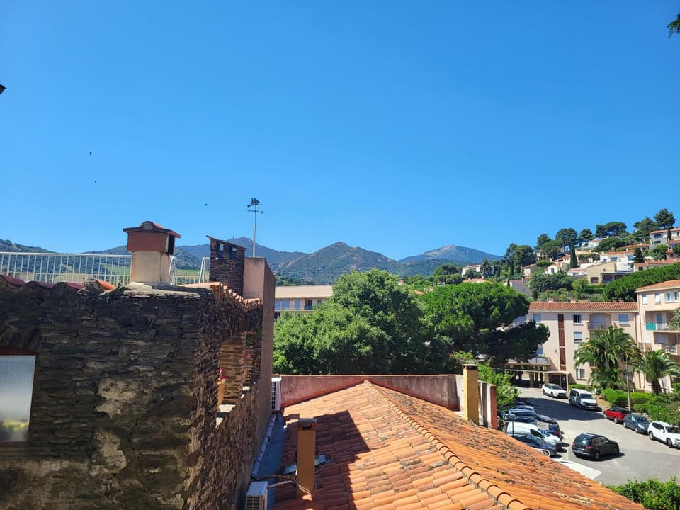 La roussette Apartment in Collioure