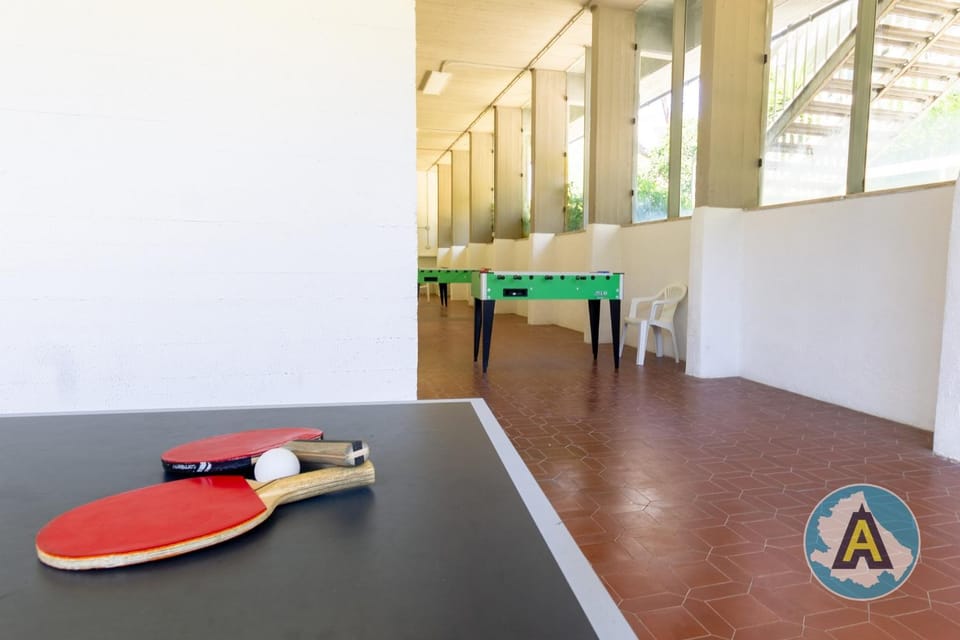 Table tennis, Table tennis