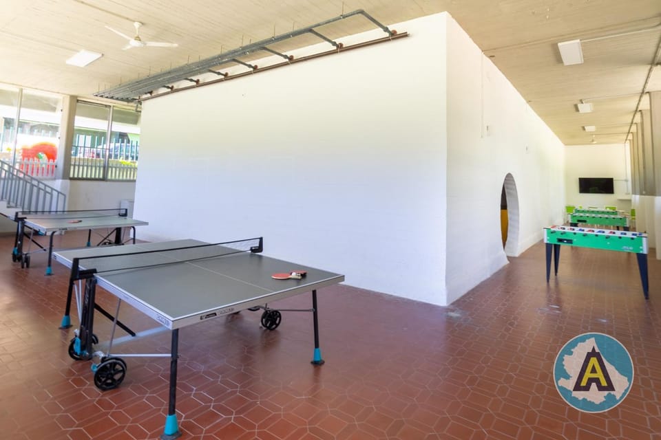 Game Room, Table tennis, Table tennis