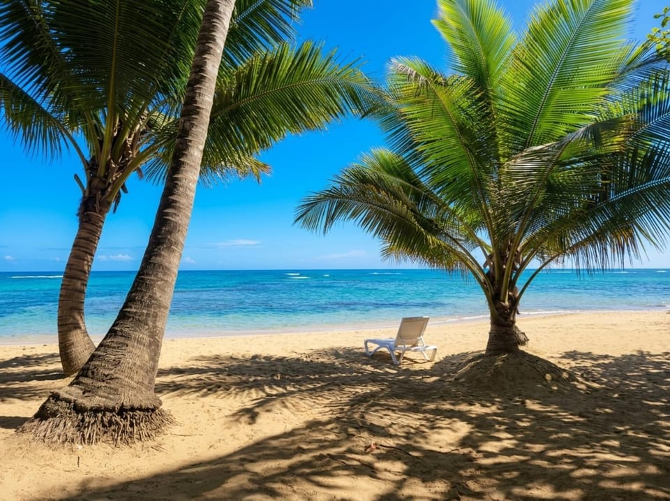 Nearby landmark, Day, Natural landscape, Beach, Sea view, sunbed