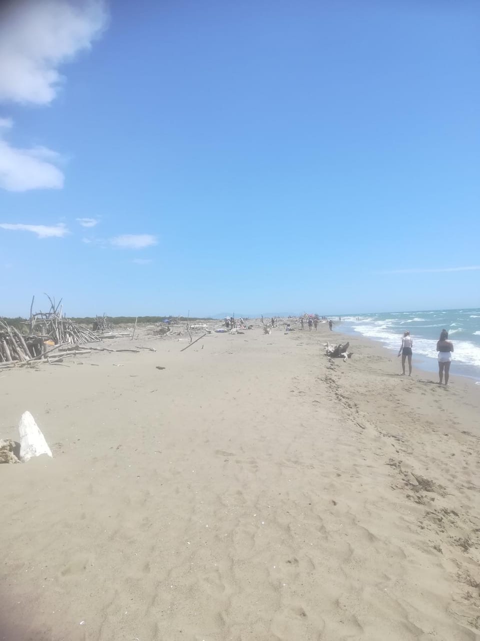 Principina Mare appartamento vacanze pineta Tinca Apartment in Principina a Mare