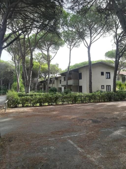 Principina Mare appartamento vacanze pineta Tinca Apartment in Principina a Mare