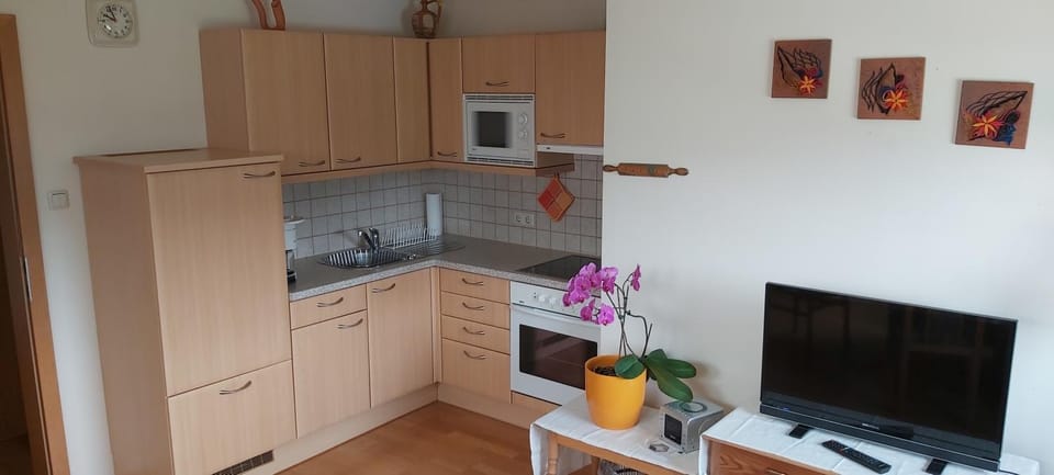 Kitchen or kitchenette, oven, pet friendly, stove