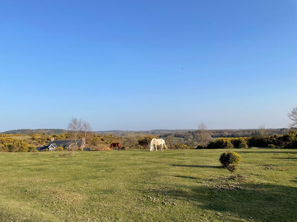 Roundhill New Forest House in New Forest District