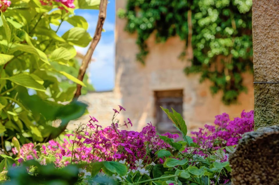 Spring, Garden, Garden view