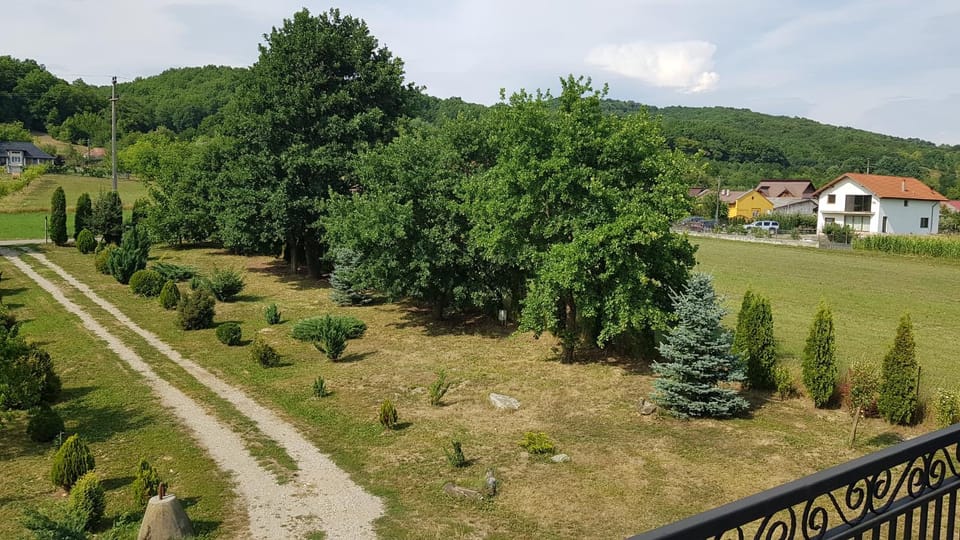 Garden view