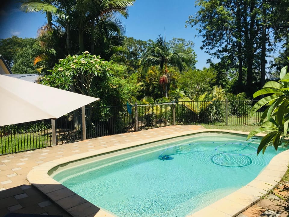 Kosmo’s Studio: City Style in a Retreat Setting! Bed and Breakfast in Tamborine Mountain