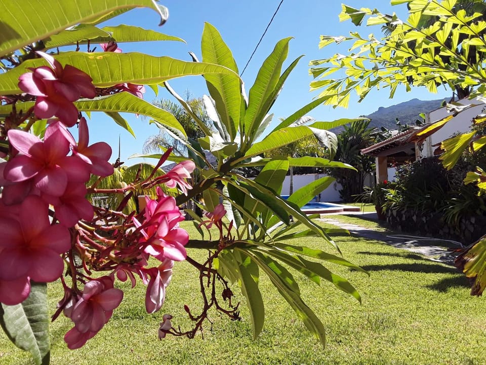 Garden, Garden view
