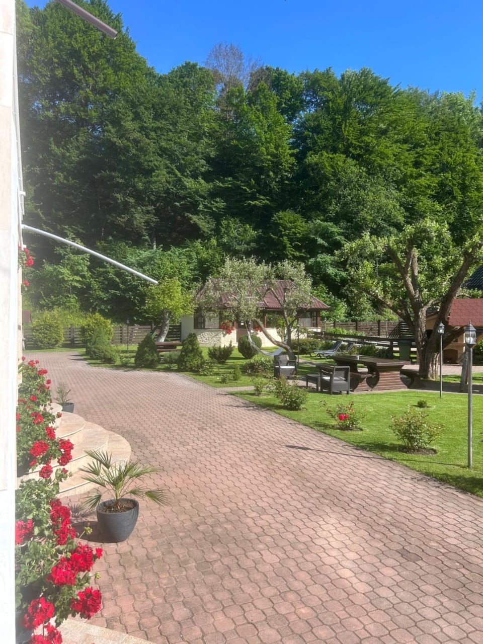 Pensiunea Ionela Bed and Breakfast in Brașov County