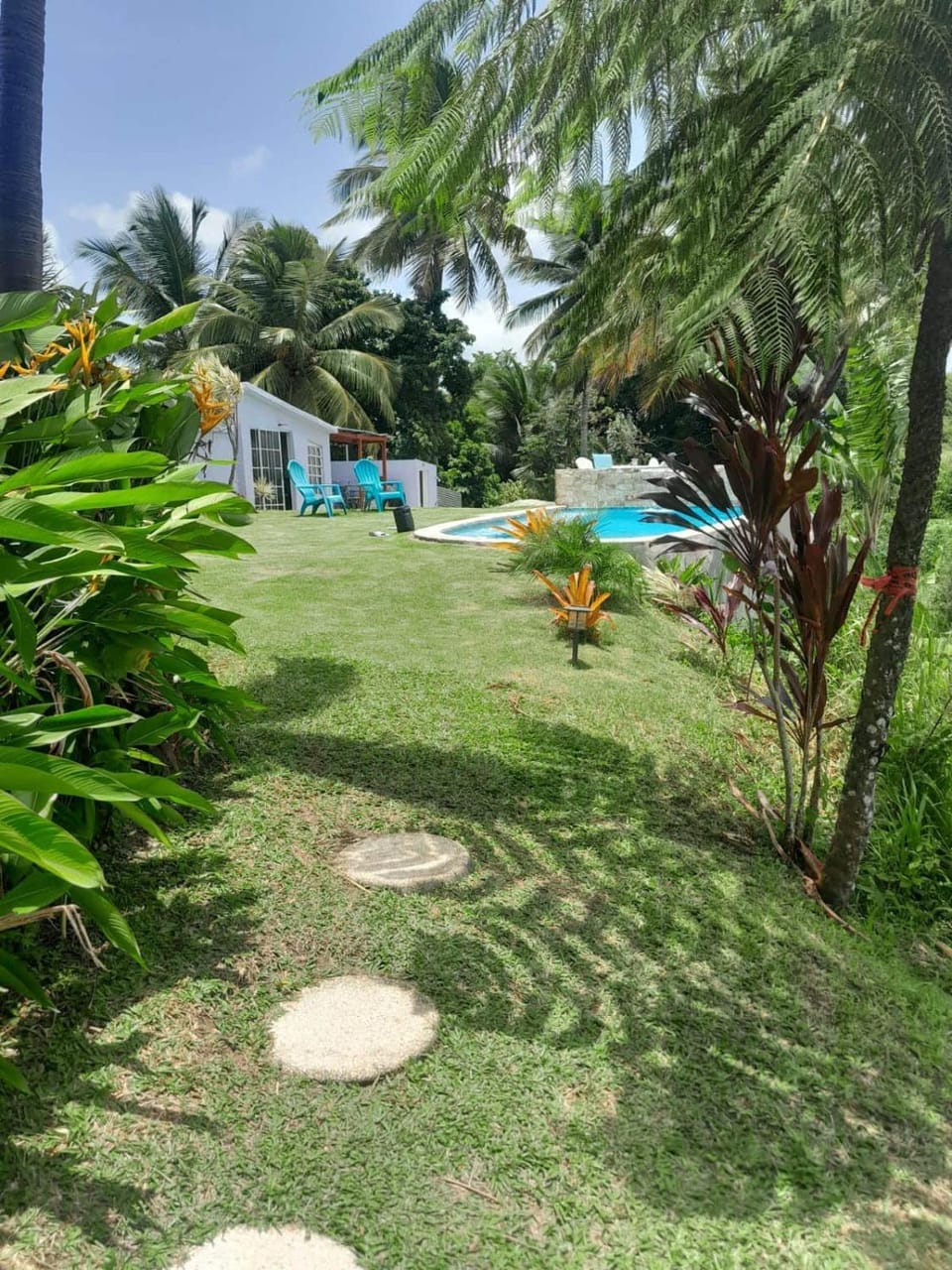 Garden view