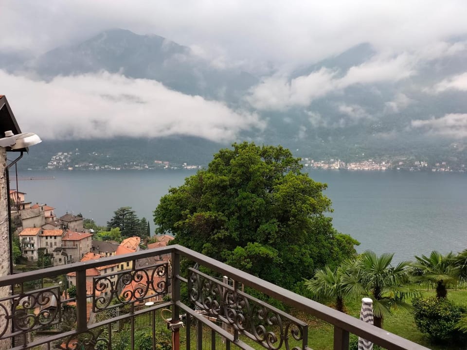 Lake view