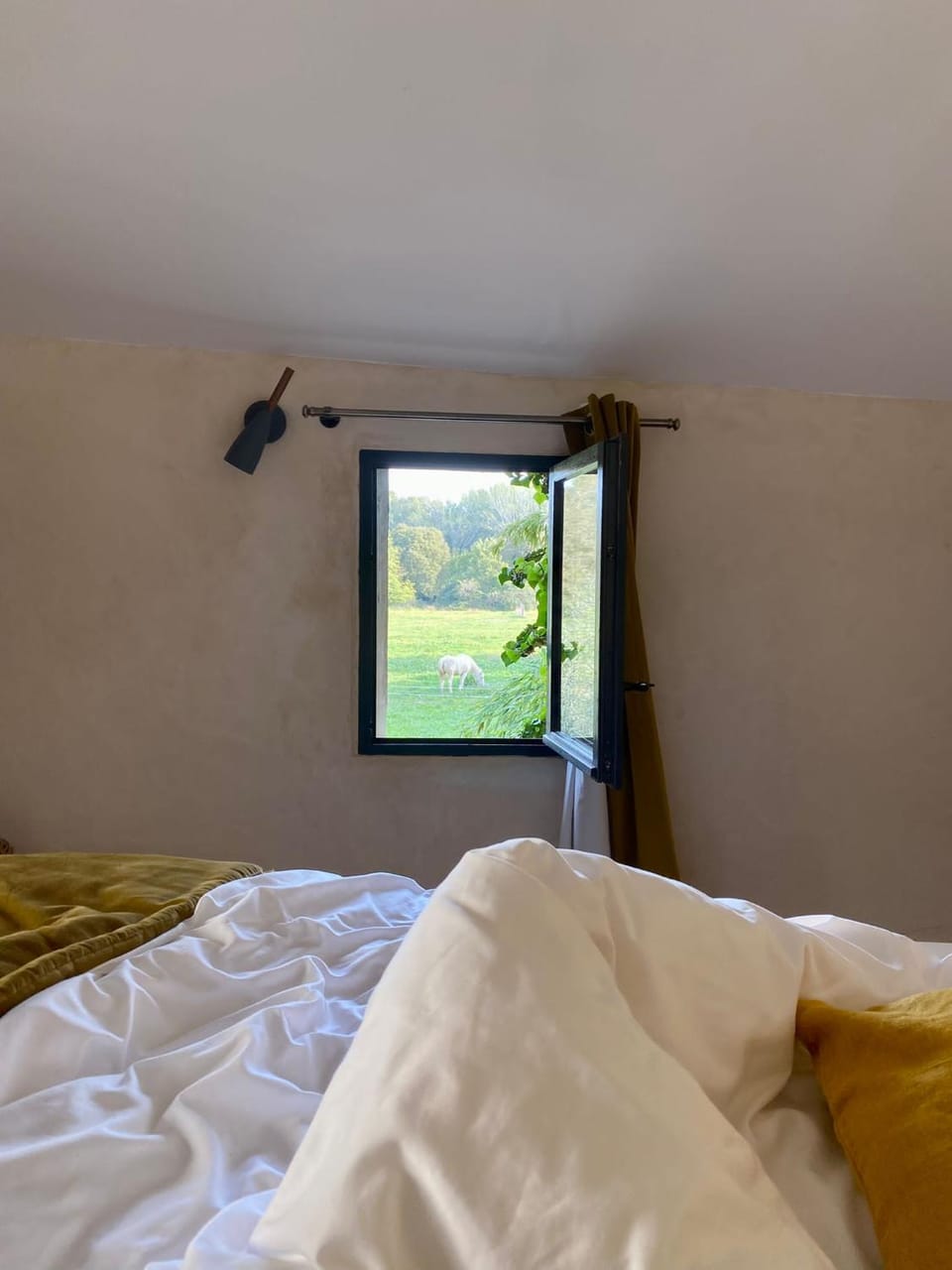 La Madeleine Arles Apartment in Arles