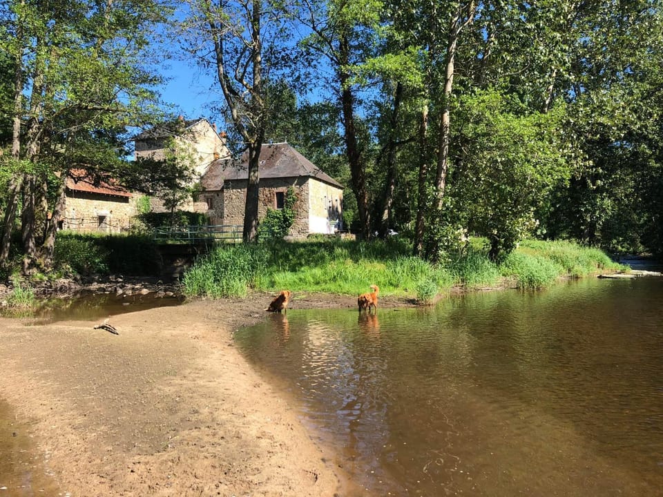 Property building, Lake view, River view