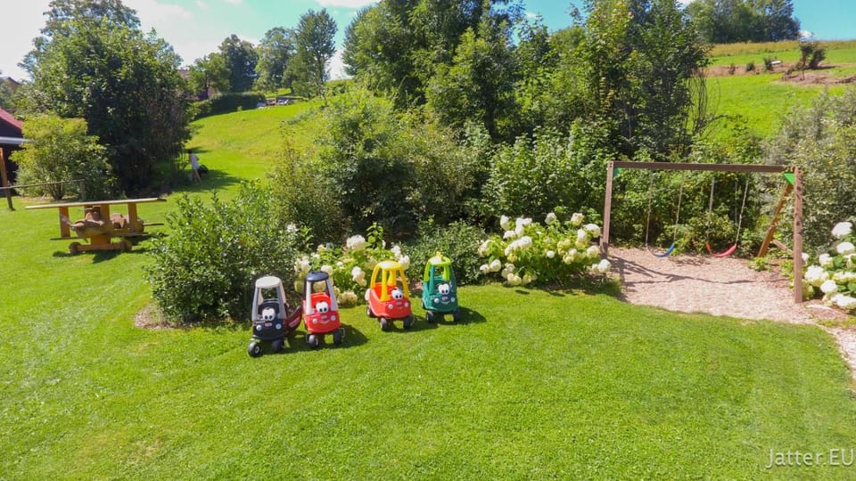 Children play ground, Garden