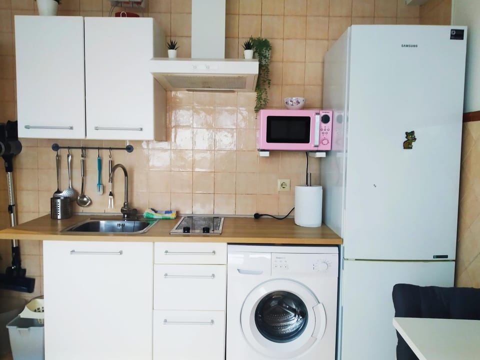 Coffee/tea facilities, Kitchen or kitchenette, internet, minibar, pet friendly, stove, toaster, washing machine