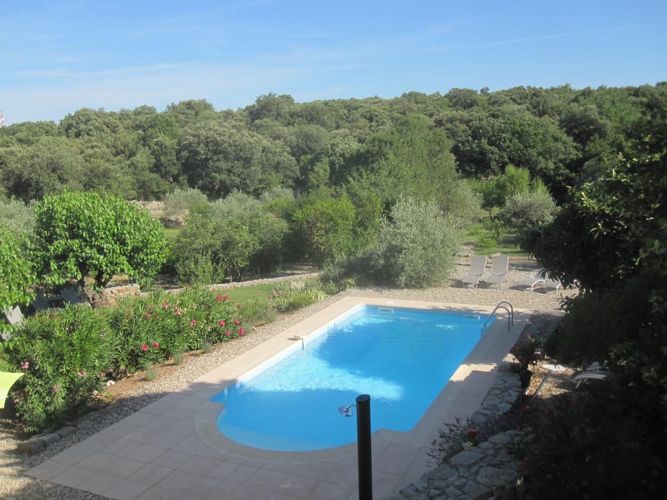 Natural landscape, Garden, Garden view, Swimming pool, Swimming pool