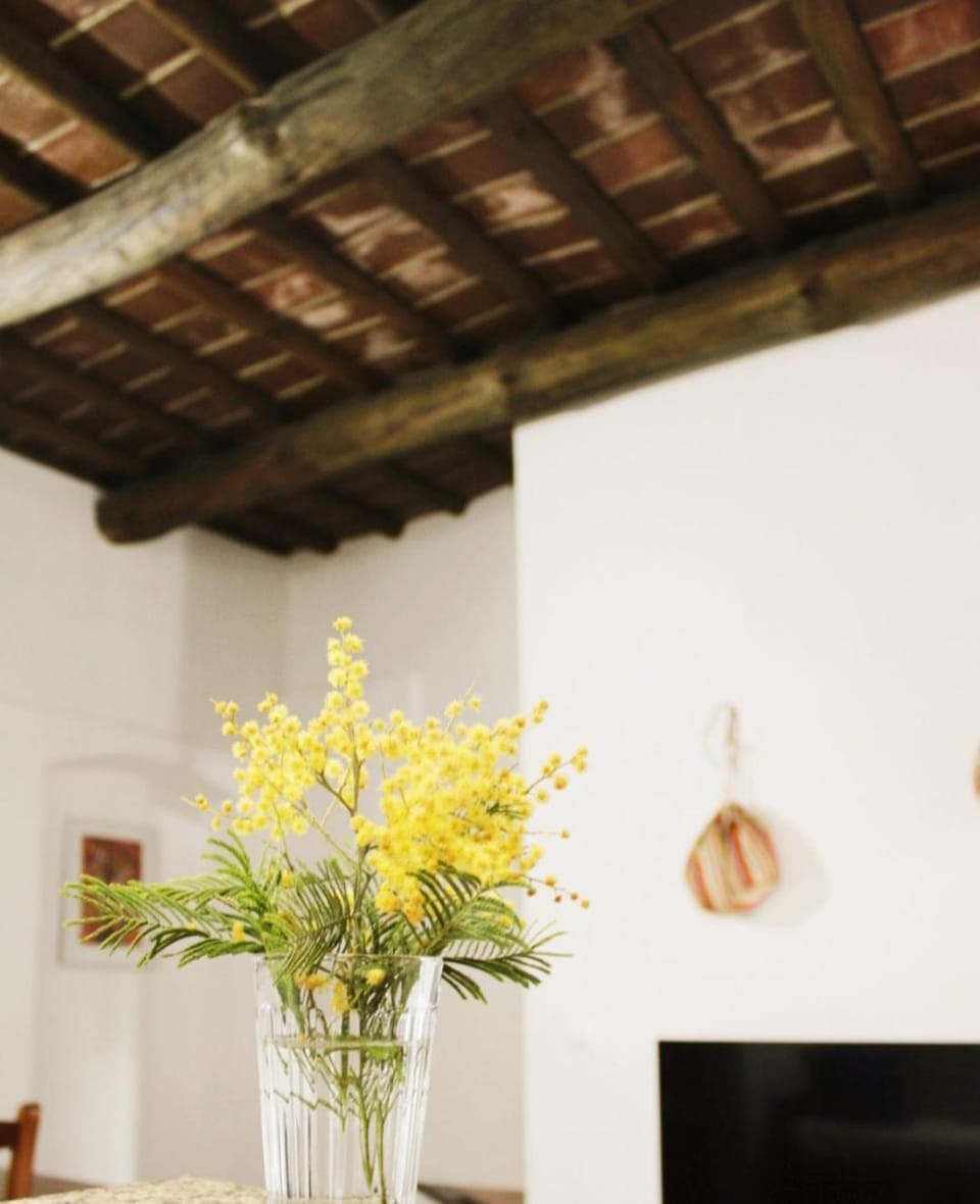 Casa Refúgio House in Evora