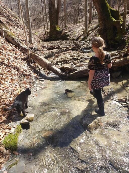 Red River Gorge Creekside, New*Spacious *2 baths! House in Kentucky
