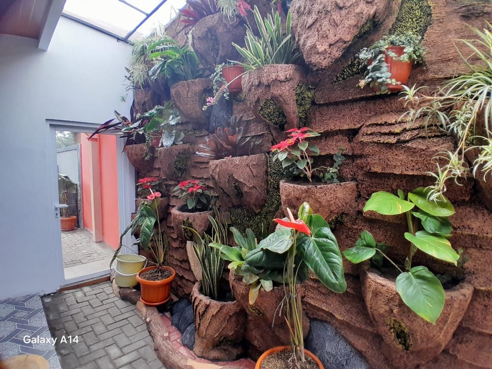 Spring, Day, Garden, Garden view, Family