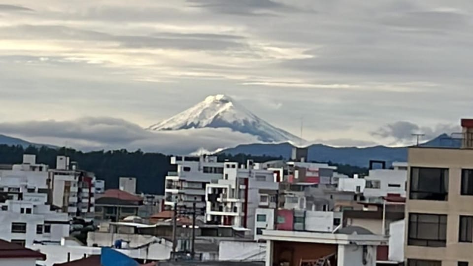 View (from property/room)
