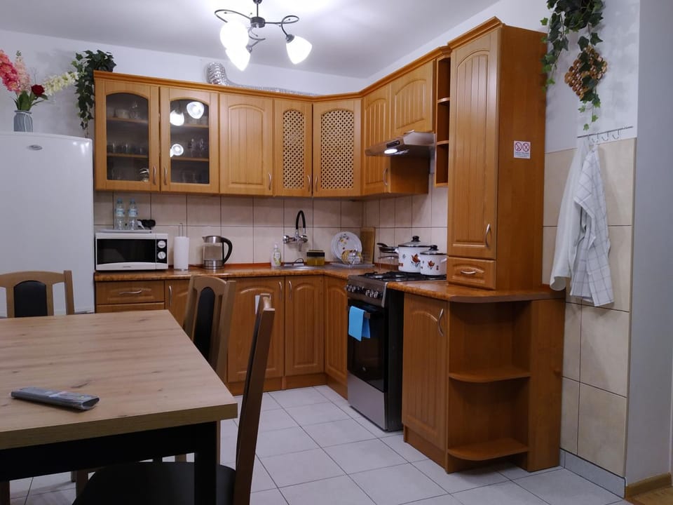 Coffee/tea facilities, Kitchen or kitchenette, hair dresser, minibar, pet friendly, stove, kitchen