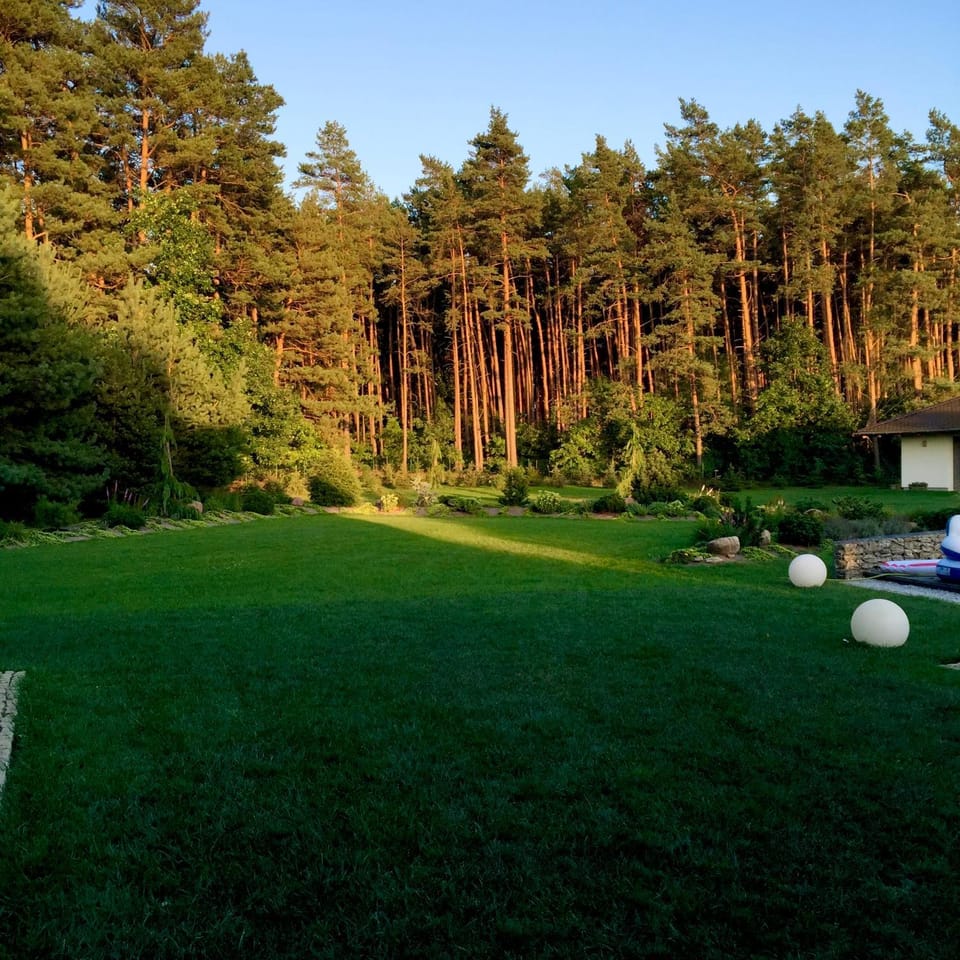 Spring, Natural landscape, Garden, Garden view