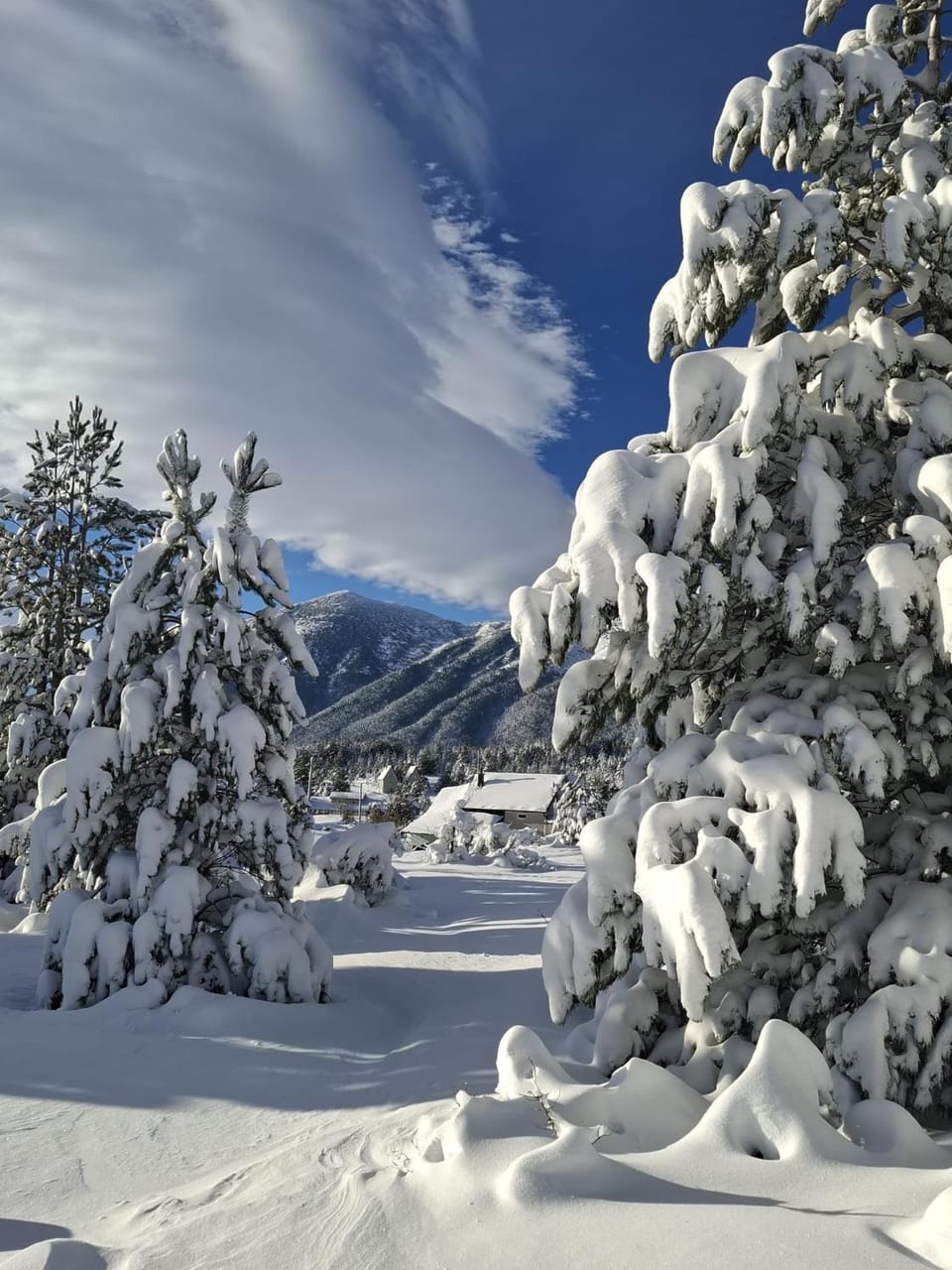 Natural landscape, Winter
