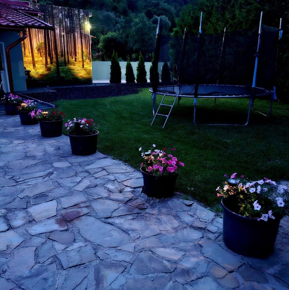 Casa Delia House in Romania