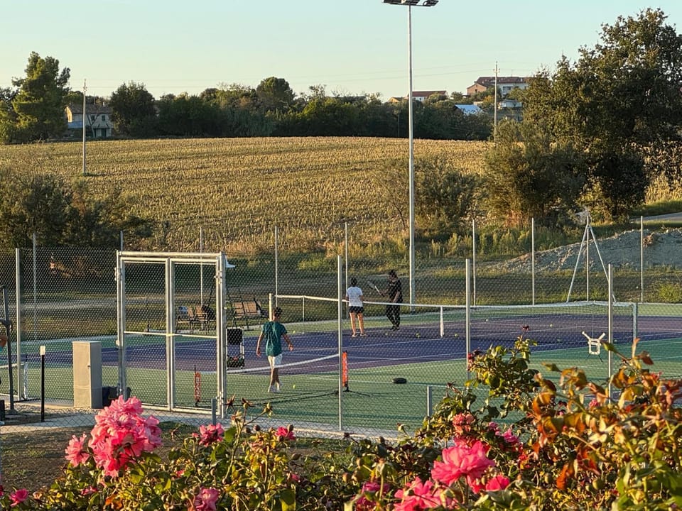 Tennis court, Tennis court