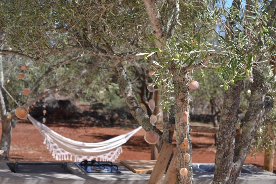 Glamping Algarve Olive Tree Lodge House in Faro District