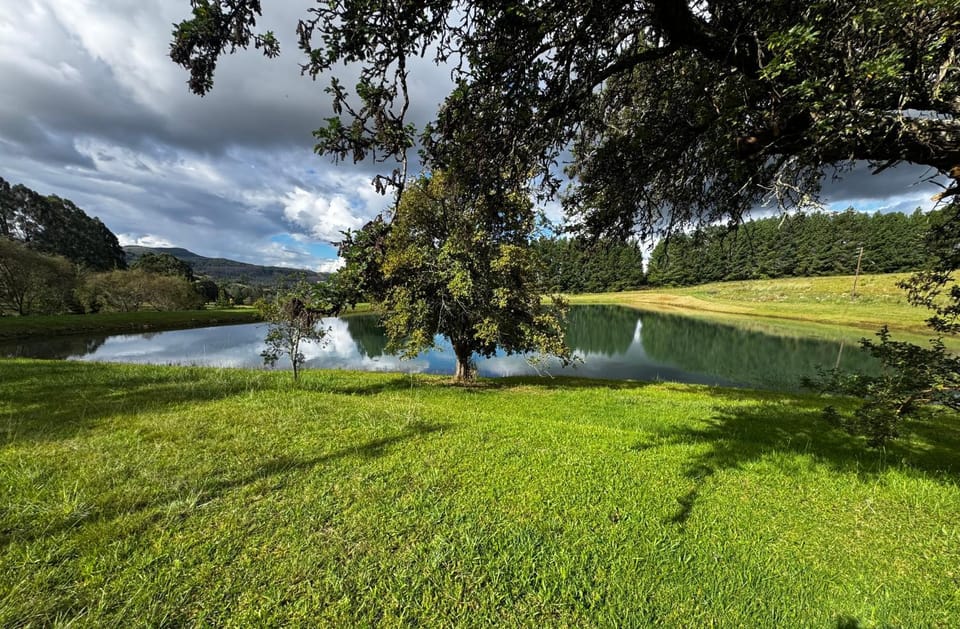 Lake view