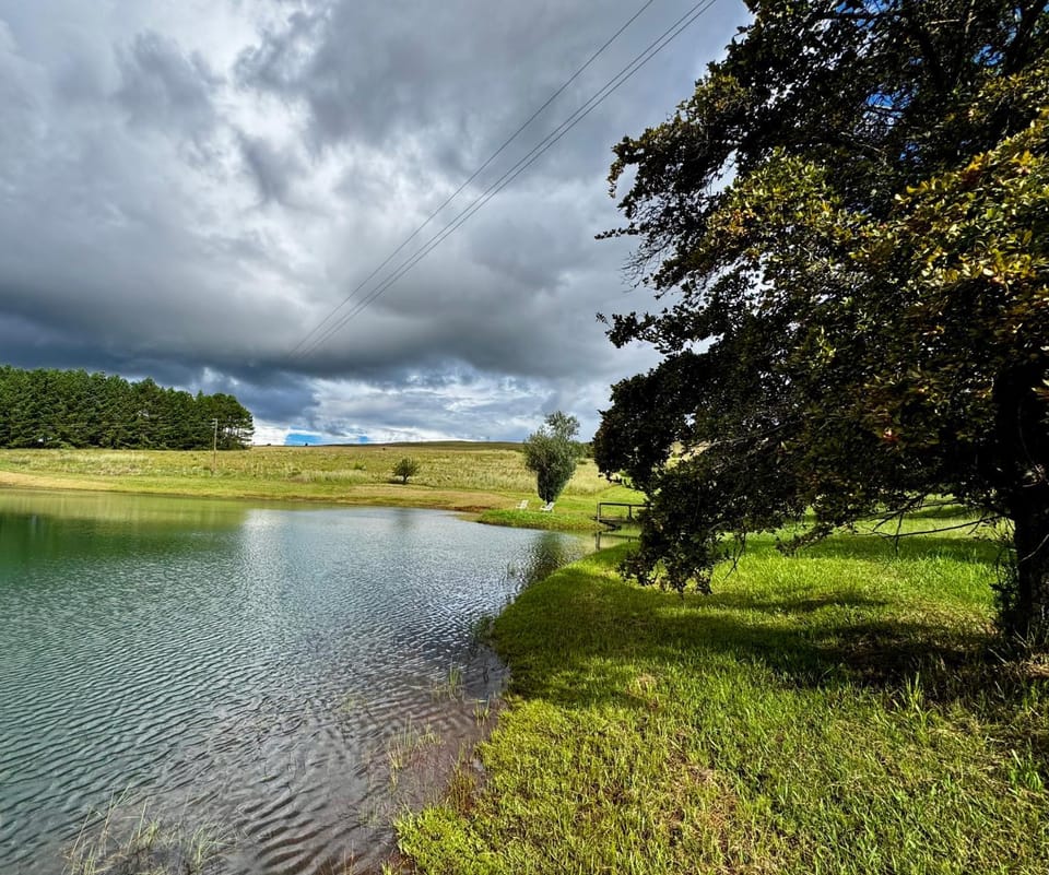 Lake view