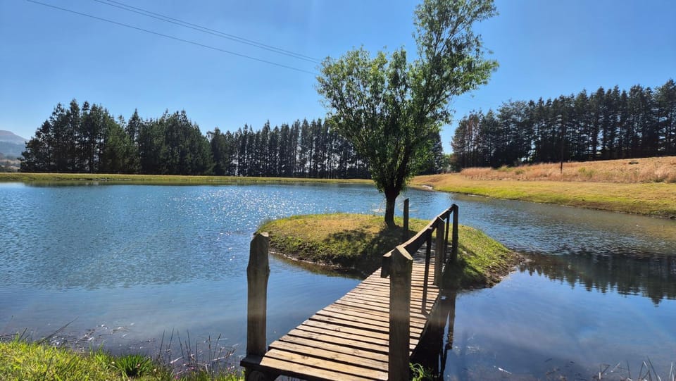 Lake view