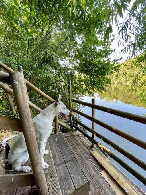 River view, pet friendly
