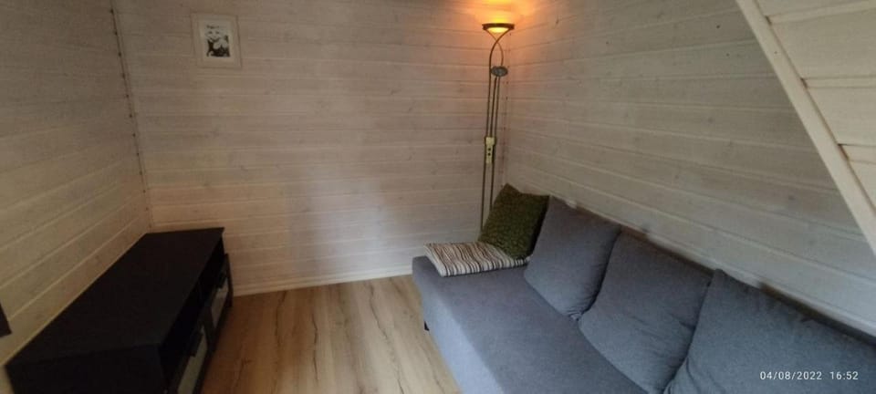 Bed, Living room, Bedroom