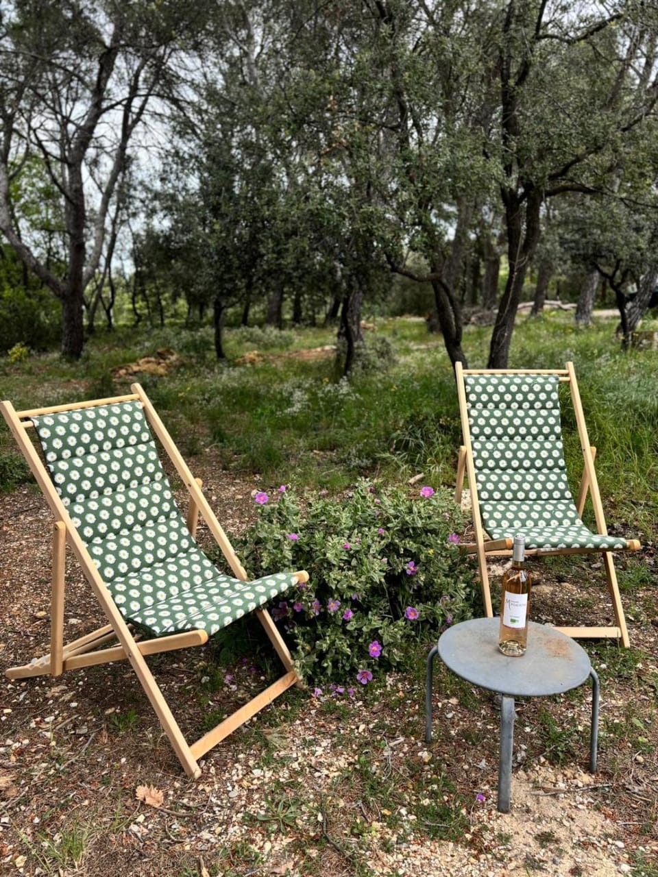 Maison dans la pinède House in Rognes