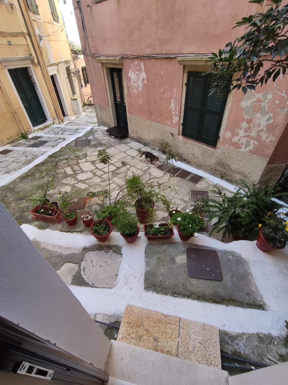 Elise Corfu City Apartment Apartment in Corfu