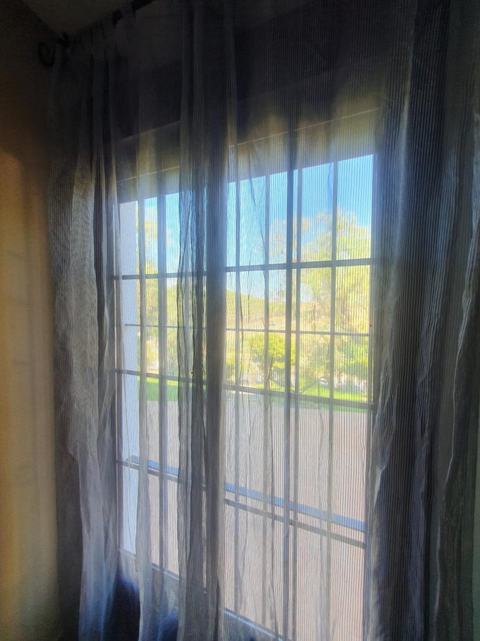 Garden view